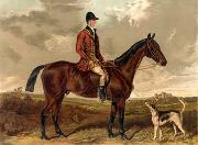 unknow artist Classical hunting fox, Equestrian and Beautiful Horses, 044. oil painting reproduction
